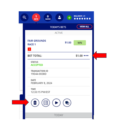 bamcheckbet2.PNG