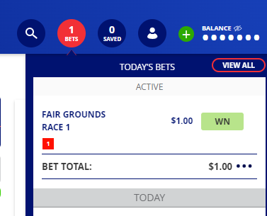 bamcheckbet.PNG